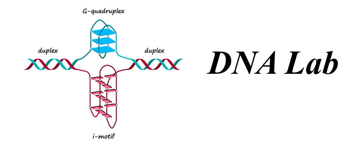 DNALab