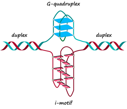 DNALab Logo